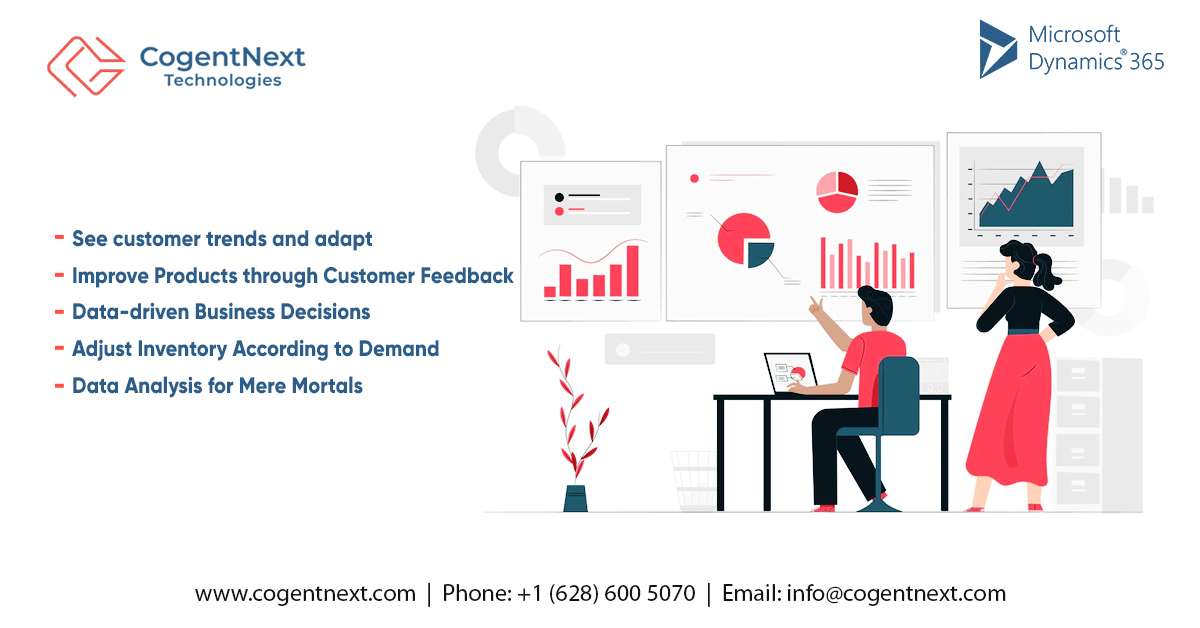 Dynamics 365 Customer Insights